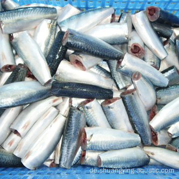 Frozen 150g HGT Pacific Makrele Fish IQF